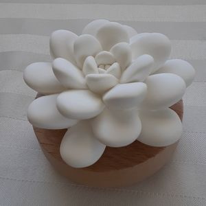 NEW DoTerra Desert Bloom Passive Diffuser LE